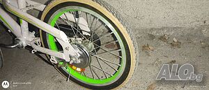 image_6