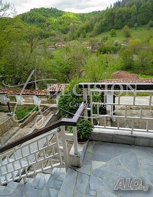image_8