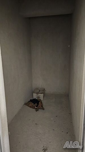 image_15