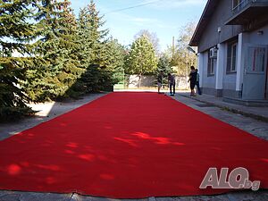 image_10