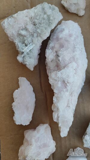 image_7