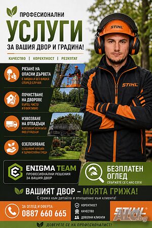 Премахване на опасни дървета и кастрене 🌳