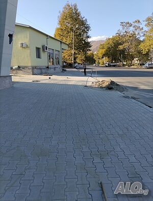 image_6