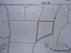 image_7