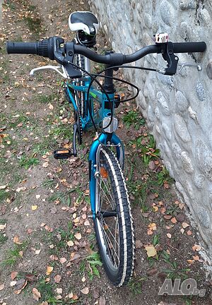 image_8