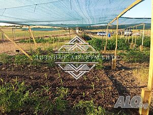Представяме Ви просторен земеделски имот с огромен потенциал 🌿