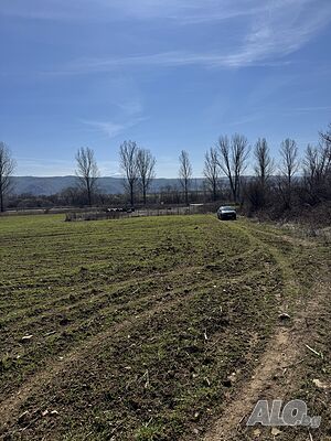 image_7
