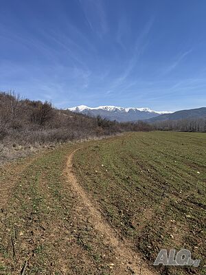 image_8