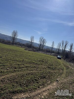 image_9