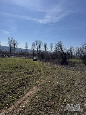 image_10