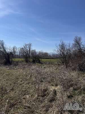 image_11