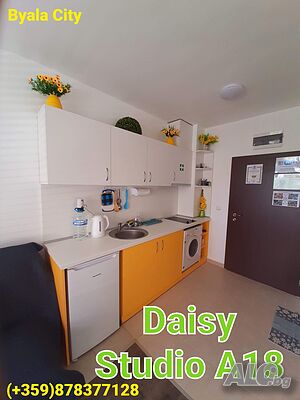 image_6