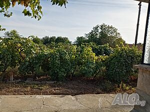 image_9
