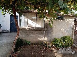 image_10