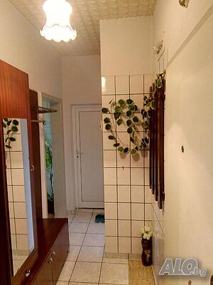 image_11