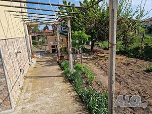 image_15