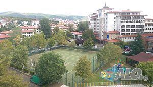 image_7