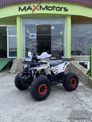 ATV MaxMotors Grizzly LED ROLLBAR 150 CC с 8” гуми, автоматична скорос