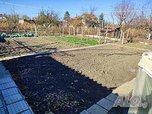 image_11