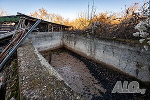image_19