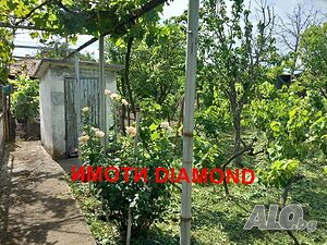 image_15