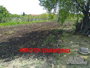 image_7