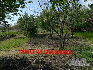image_10