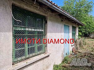 image_7