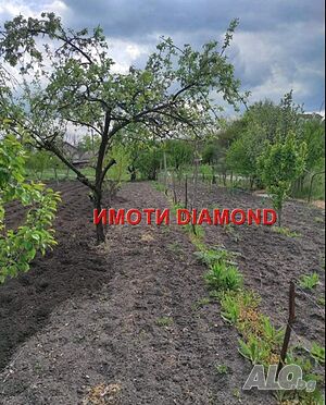 Парцел в село Малко Асеново, общ. Димитровград