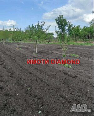 image_6
