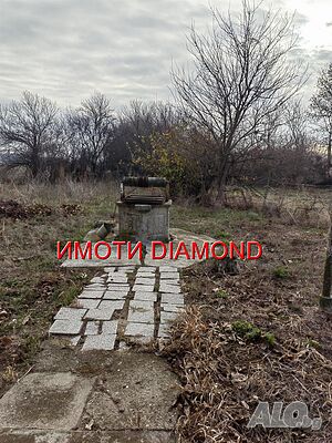 image_10