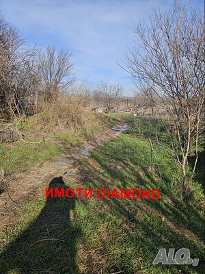 image_9