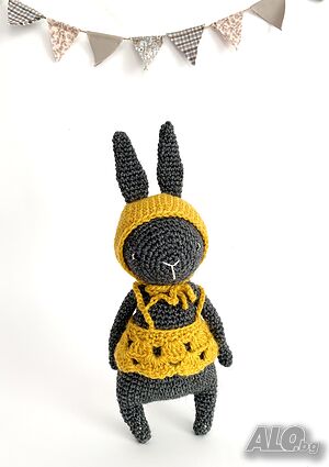image_6