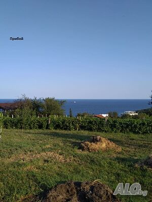 image_4