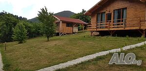 image_22