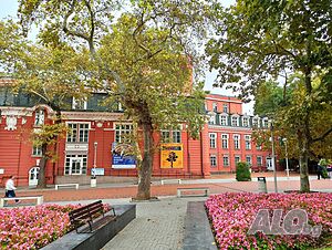 image_6