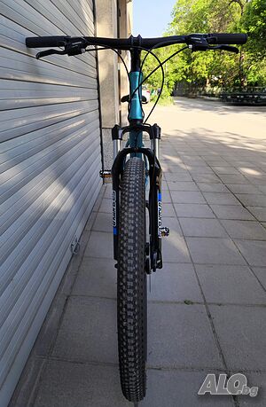 image_7