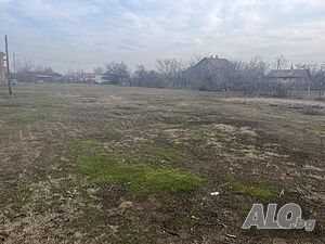 image_7
