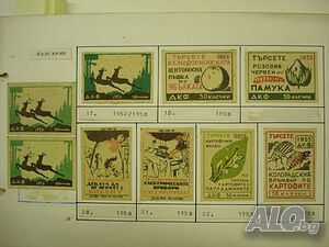 image_3