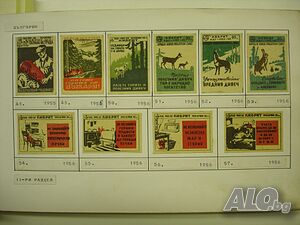 image_5