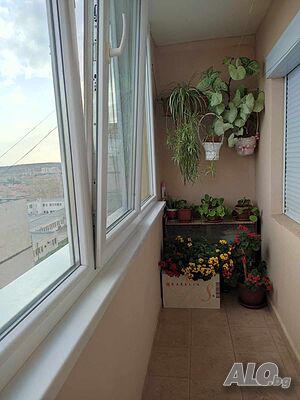 image_2