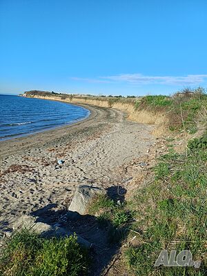 image_12