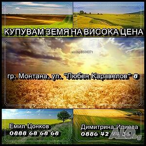Купувам земя в Лом