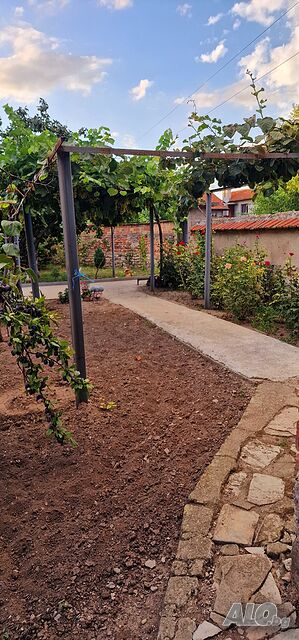 image_8