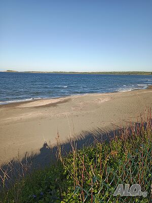 image_6