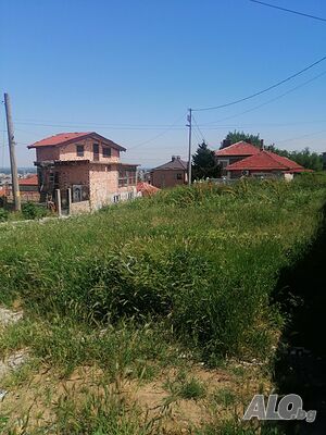 image_6