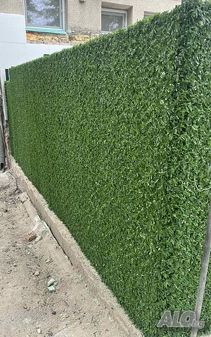 image_5