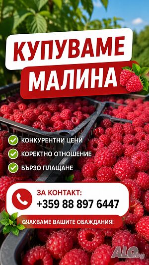 Изкупувам малина