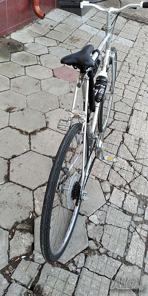image_8