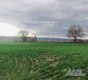 Продава панорамен парцел в регулация в с. Кривня